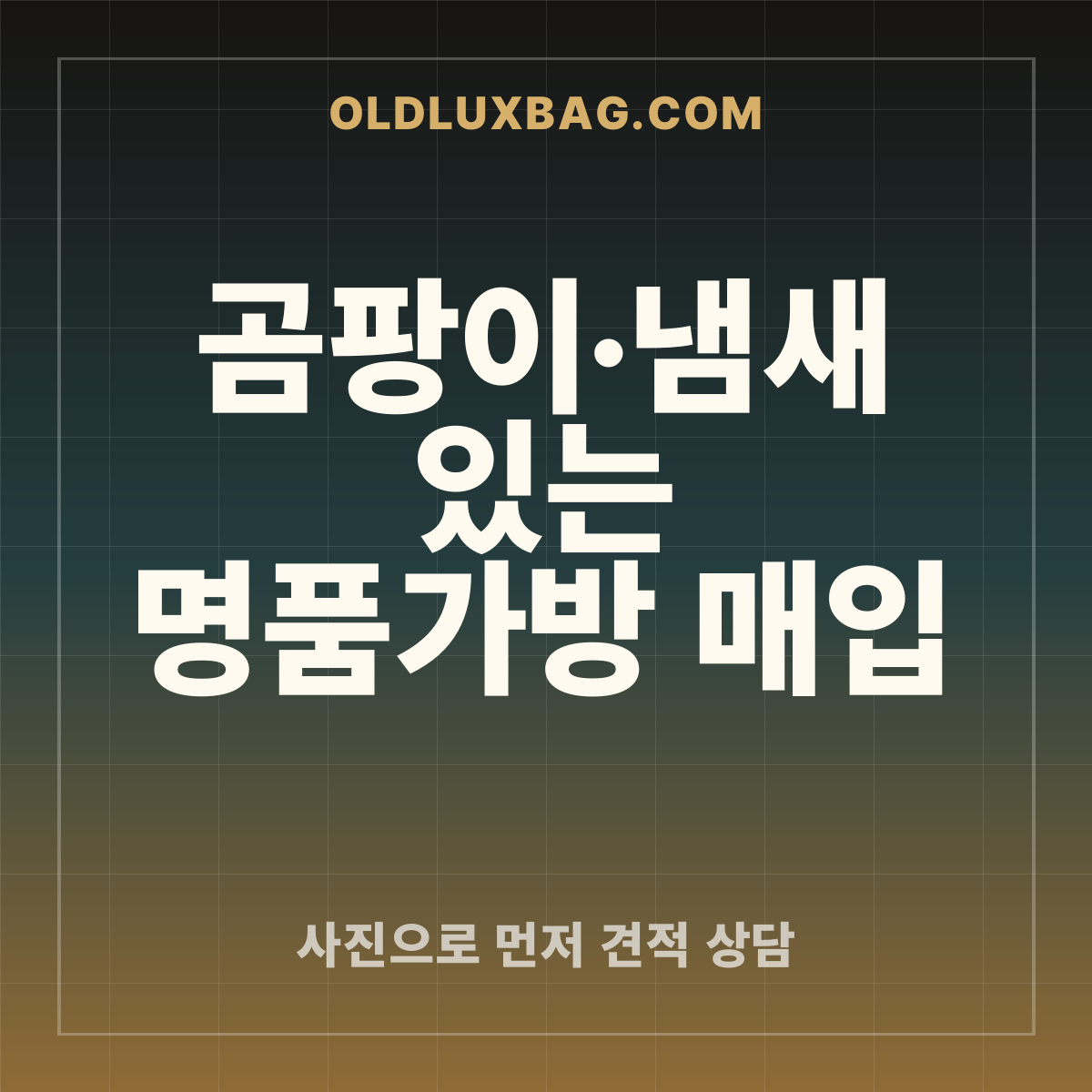 곰팡이·냄새 있는 명품가방 매입 썸네일